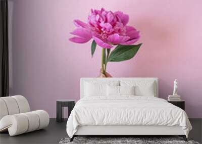 Female hand holding pink peony flower on pink background Wall mural