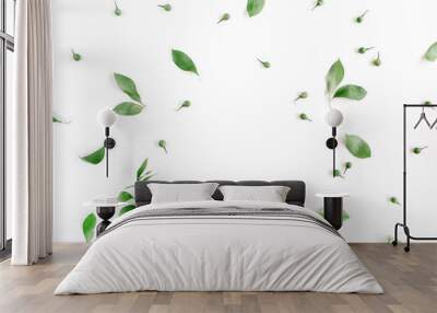 frame wreath of green leaves on white background, flat lay, top view. flower background. Wall mural