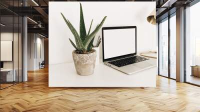 Laptop with blank copy space screen on white table with aloe plant. Minimal home office desk workspace with mockup template. Work at home concept. Wall mural