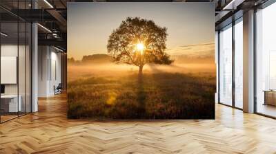 an atmospheric shot of a solitary tree in a foggy field at dawn with the rising sun creating ethereal lens flares Wall mural