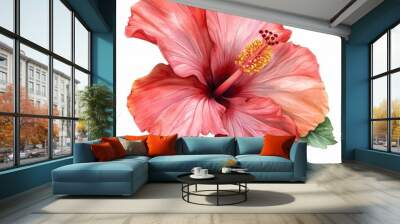 Watercolor illustration of a single pink hibiscus flower with yellow center and green leaves isolated on white background. Wall mural