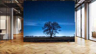 A tree in the middle of an open field at night with stars and blue sky Wall mural