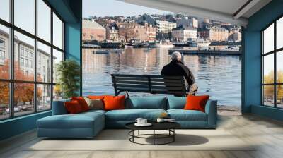 Back view of an elderly man sitting on an urban bench overlooking the harbor, he is looking at boats and buildings across the water Wall mural