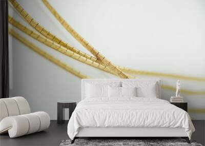 beautiful gold chain Wall mural