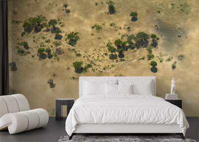 Drone, aerial view of african savanna Wall mural