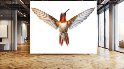 hummingbird in flight, png stock photo file cut out and isolated on a transparent background - Generative AI	 Wall mural