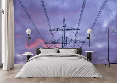 Power line against colorful evening sky. High quality photo Wall mural