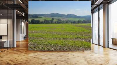 beautiful landscape with green field and clouds on sky. Wall mural