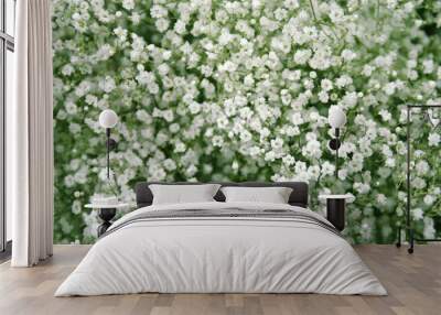 little white flowers Wall mural