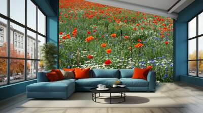 landscape with poppies and chamomile-13 Wall mural