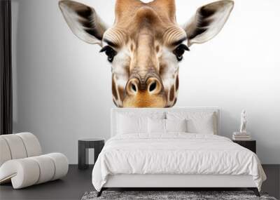 Close up giraffe clip art Wall mural