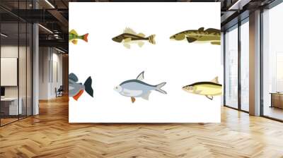 Set of beautiful fish on white background. Vector walleye, perch, ruff, trout, catfish, piranha, roach and bream in cartoon style. Wall mural