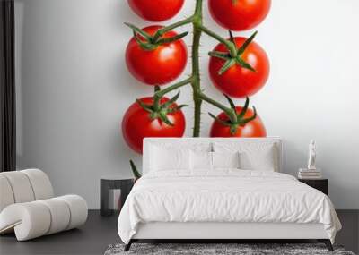 A close up of a tomato plant with six tomatoes on a stem Wall mural