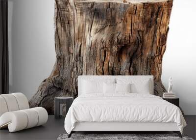 Aged Tree Stump with Natural Texture and Weathered Wood Patterns Wall mural