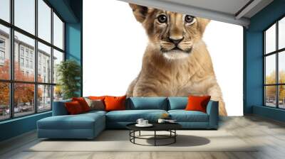 Close up of a sitting cute lion cub isolated on a white background as transparent PNG, generative AI animal Wall mural