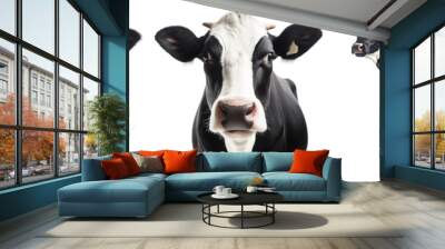 Collection of three black and white cows, animal bundle isolated on a white background as transparent PNG Wall mural