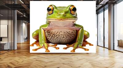 Collection of three green tree frogs, animal bundle isolated on white background as transparent PNG Wall mural