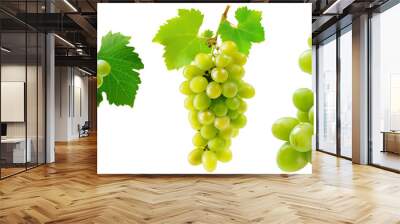 Green grapevines collection, set of juicy grapes isolated on a transparent background Wall mural