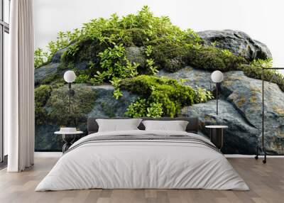 Moss covered rock isolated on a white background Wall mural