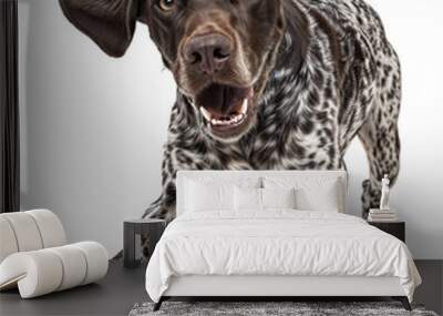 Playful German Shorthaired Pointer Running – Energetic Spotted Dog in Action Wall mural