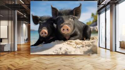 Two black pigs lying on the beach on a sunny summer day Wall mural