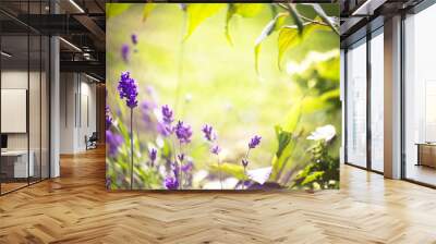 Sommer, Duft, Lavendel Wall mural