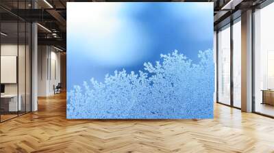 ice frost window Wall mural