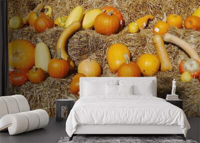 pumpkin straw Wall mural