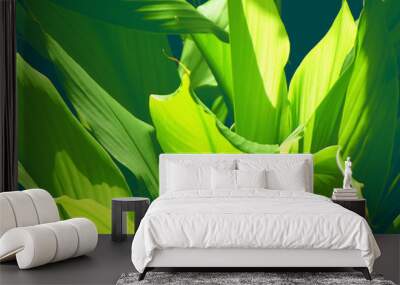 leaf plant closeup green closeup nature background texture Wall mural