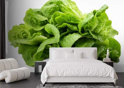 A bountiful pile of fresh lettuce leaves on a pristine white background on transparent background Wall mural