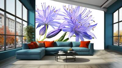 close-up of two delicate purple flowers against a pristine white backdrop Wall mural