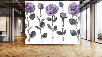 Lavender Rose Stems With Buds and Leaves on White Background Wall mural