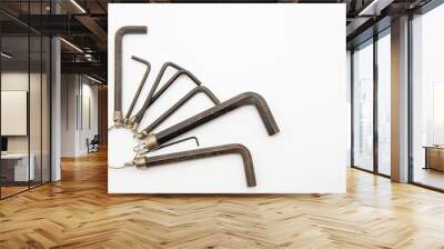 A set of hex keys hanging on ring on a white background. Wall mural