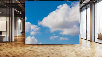 Wild field and blue sky with many white clouds Wall mural