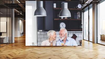 Senior couple in kitchen Wall mural