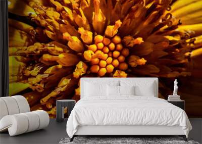 yellow flower closeup Wall mural