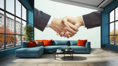 Business Man. Business handshake and business people Wall mural