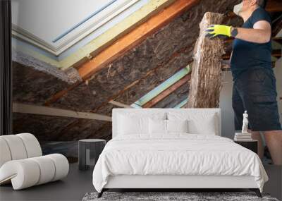 Craftsman holds insulation material to insulate the attic. Wall mural