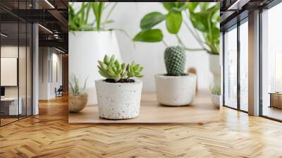 Close up of botanical interior air plants, cacti and succulents composition in design and hipster pots on the brown table. White walls. Modern and floral concept of home garden interior. Nature love.  Wall mural