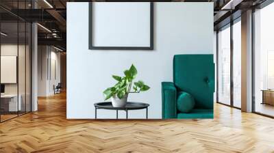 Minimalistic and luxury grey home interior with green velvet design sofa, black coffe table with plant and mock up poster frame Brown wooden parquet.Real photo.  Wall mural