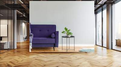 Minimalistic and luxury grey home interior with purple velvet design sofa, black coffe table with plant, carpet and elegant blanket. Copy space for inscription, mock up poster. Brown wooden parquet. Wall mural