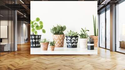 Modern composition of home garden filled a lot of plants in different hipster pots. White background wall with copy space.  Wall mural