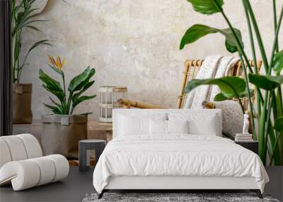 Neutral composition of living room interior with rattan armchair, wooden bench, a lot of tropical plants in design pots, decoration and elegant personal accessories in stylish home decor. Wall mural