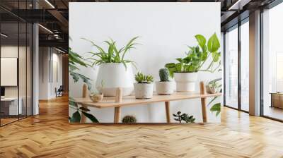 Scandinavian room interior with plants composition in design and hipster pots on the brown shelf. White walls. Modern and floral concept of home garden. Nature love. Wall mural