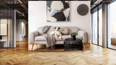 Stylish and scandinavian living room interior of modern apartment with gray sofa, pillows, plaid, plants, design  commode, abstrac paintings on the wall. Modern home decor. Dog is lying on the sofa. Wall mural