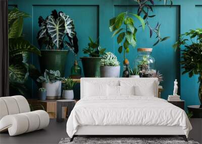 Stylish composition of home garden interior filled a lot of beautiful plants, cacti, succulents, air plant in different design pots. Green wall paneling. Template. Home gardening concept Home jungle. Wall mural