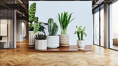 Stylish composition of home garden interior filled a lot of beautiful plants, cacti, succulents, air plant in different design pots. Home gardening concept Home jungle. Copy spcae. Template Wall mural