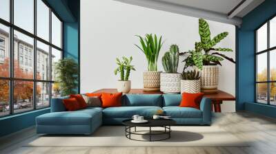 Stylish composition of home garden interior filled a lot of beautiful plants, cacti, succulents, air plant in different design pots. Home gardening concept Home jungle. Copy spcae. Template Wall mural