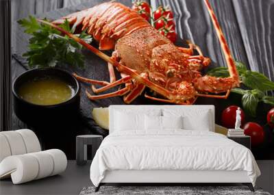 boiled Red or Spiny Rock lobster with vegetables and melted butter close-up on a black background Wall mural