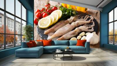 Food background: raw fresh squid close-up and set of vegetables on a slate board. horizontal Wall mural